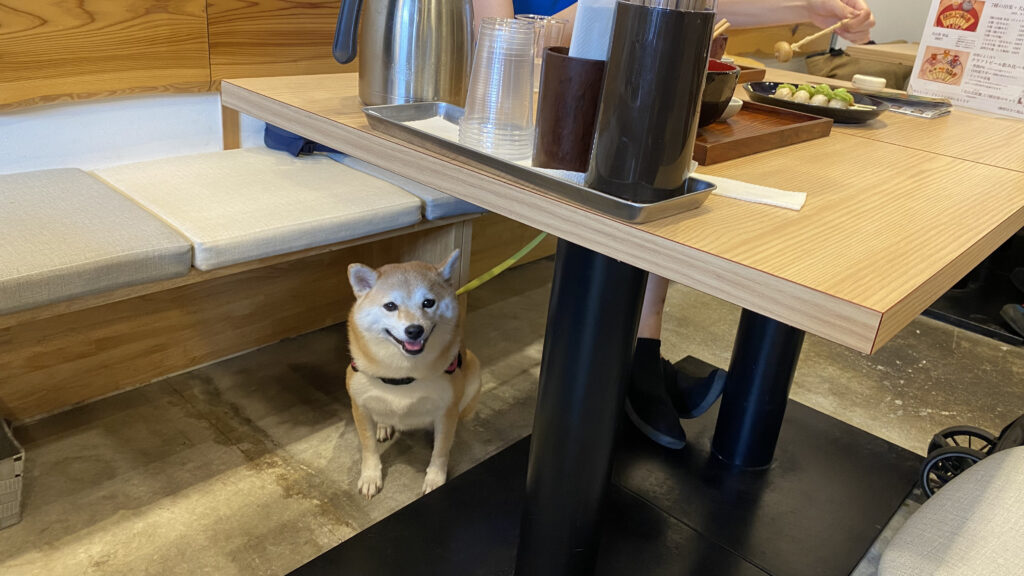 犬山　店内犬同伴可