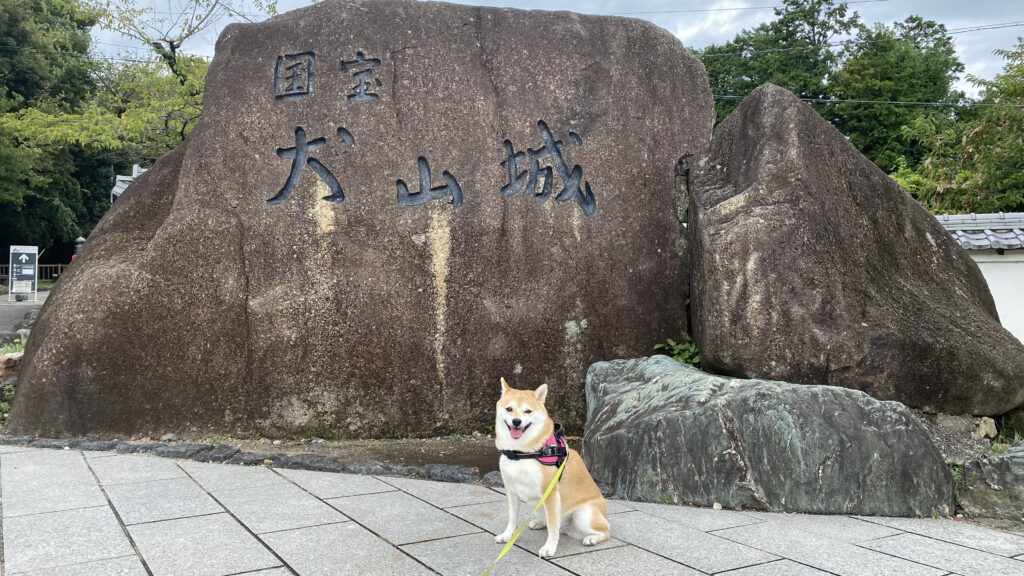 犬山城　犬連れ