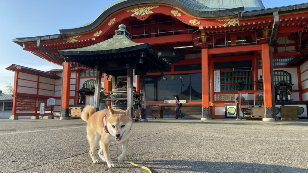 犬山成田山
犬連れ